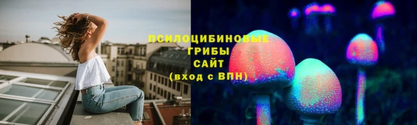 тгк Армянск
