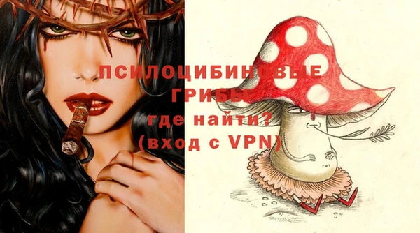тгк Армянск